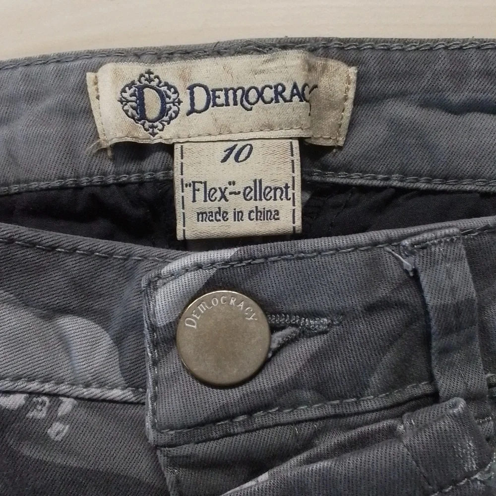Democracy - Picture 4 of 5